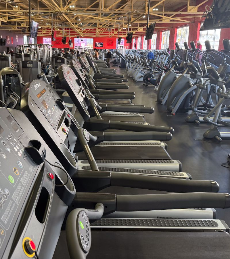 Rows of treadmills and cardio equipment at Powerhouse Gym Linden, showcasing the gym’s modern fitness machines and spacious layout.